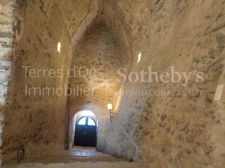 Castle Perpignan - 8 bedrooms - 600m²