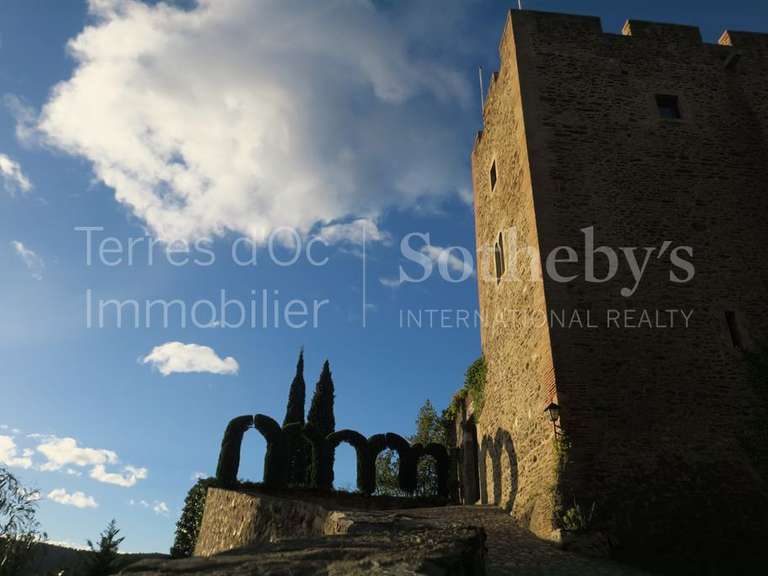 Château Perpignan - 8 chambres - 600m²