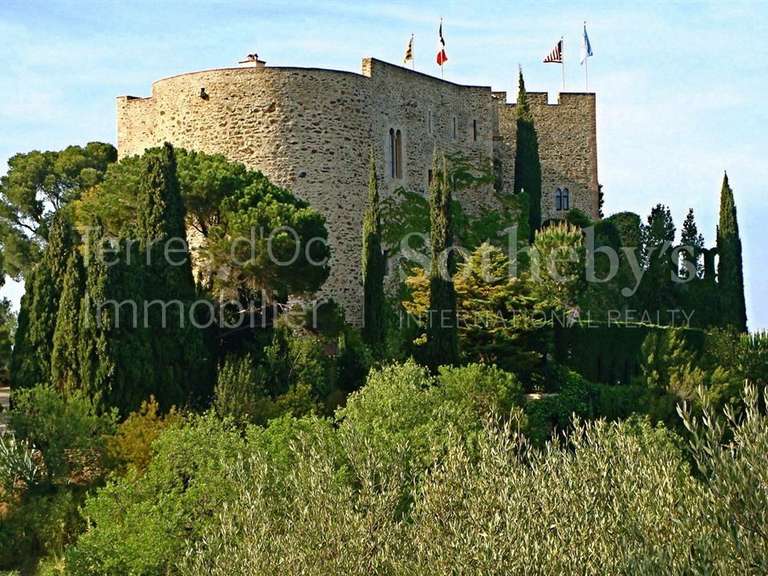Château Perpignan - 8 chambres - 600m²