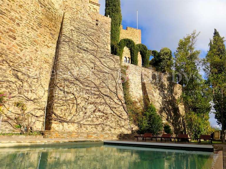 Château Perpignan - 8 chambres - 600m²