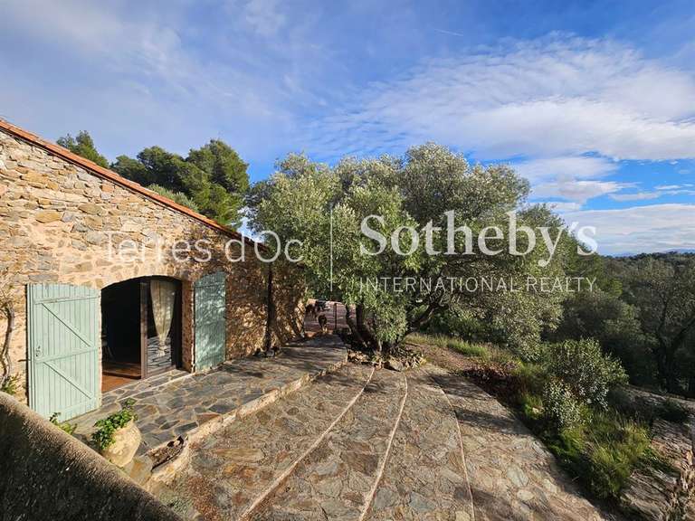 Maison Perpignan - 3 chambres - 240m²