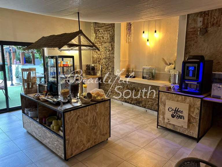 Maison Perpignan - 765m²