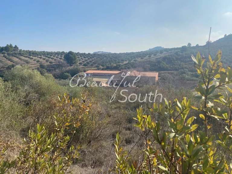 Maison Perpignan - 12 chambres - 842m²