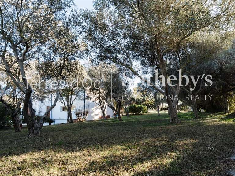 Maison Perpignan - 4 chambres - 256m²