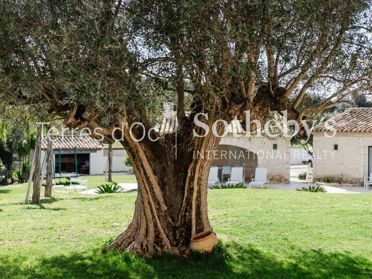 Maison Perpignan - 5 chambres - 340m²