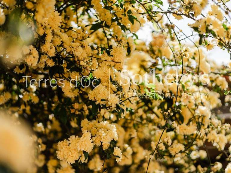 Maison Perpignan - 4 chambres - 204m²