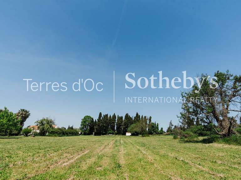 Maison Perpignan - 4 chambres - 204m²