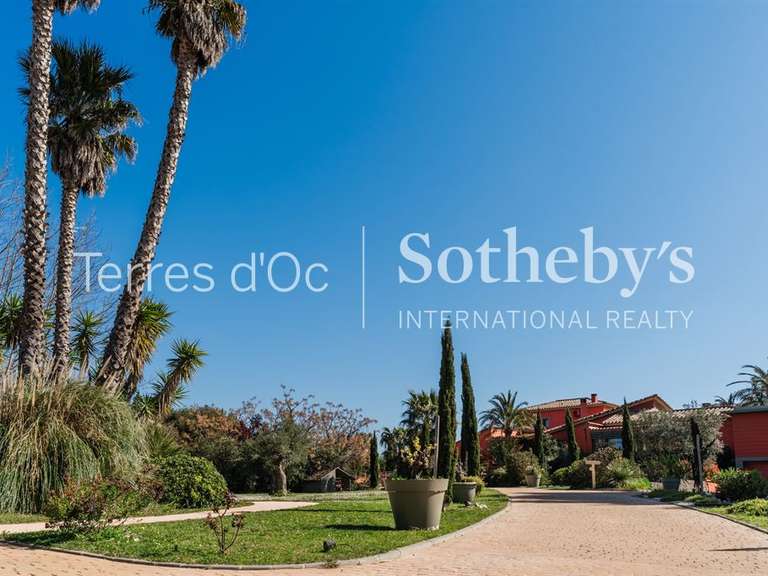 Maison Perpignan - 6 chambres - 500m²
