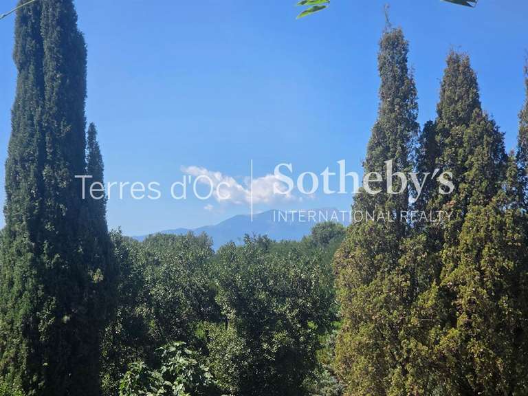 Maison Perpignan - 7 chambres - 390m²