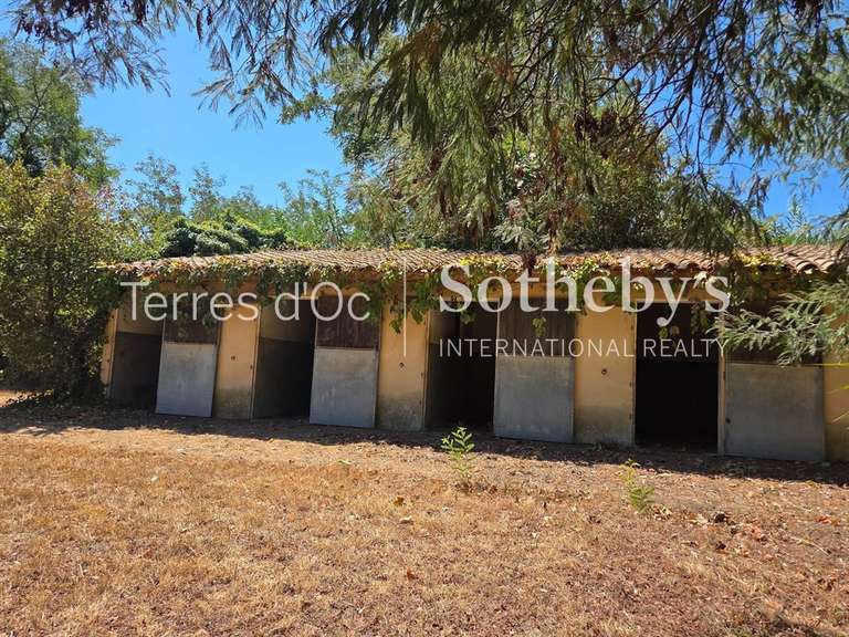 Maison Perpignan - 7 chambres - 390m²