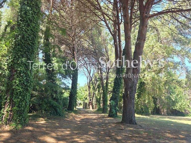 Maison Perpignan - 7 chambres - 390m²