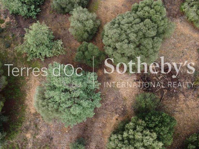 Terrain Perpignan - 4300m²