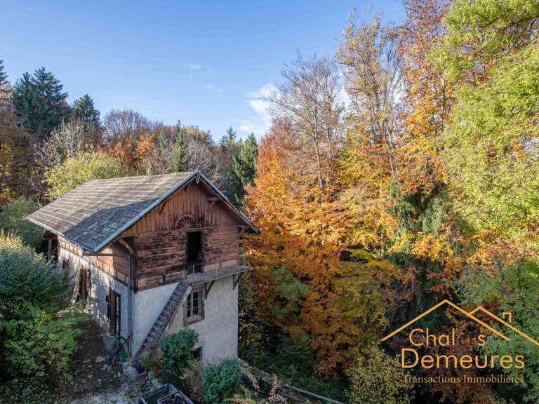 Maison Pers-Jussy - 8 chambres - 600m²