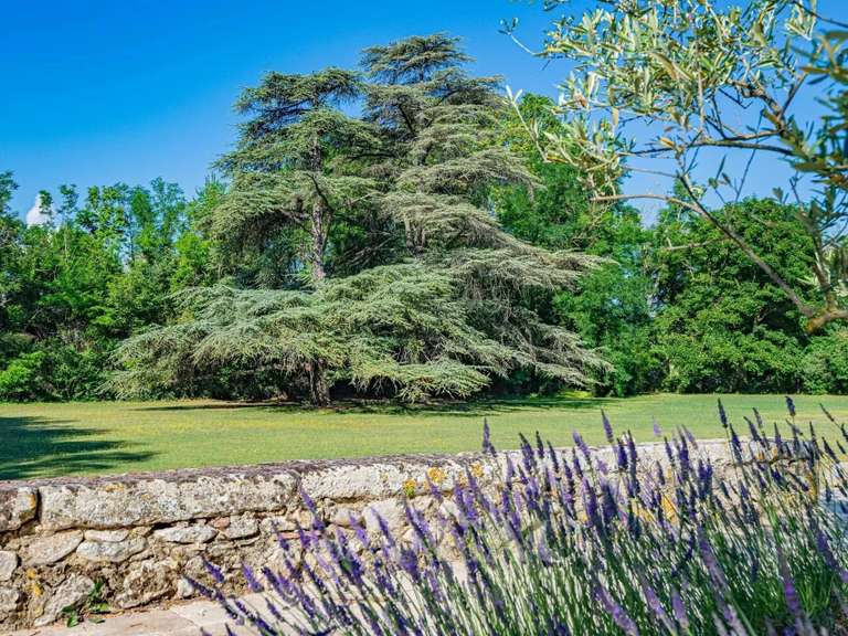 Propriété Pertuis - 17 chambres - 1250m²