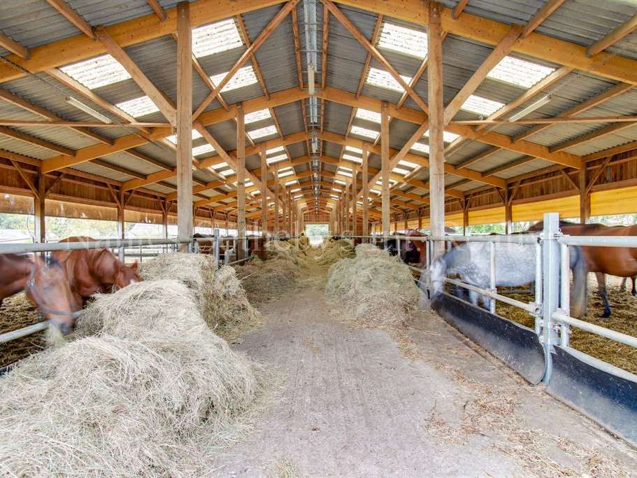 Equestrian property Petit-Mars