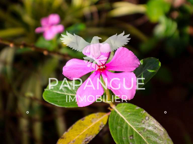 Maison avec Vue sur mer Petite-Île - 8 chambres - 305m²