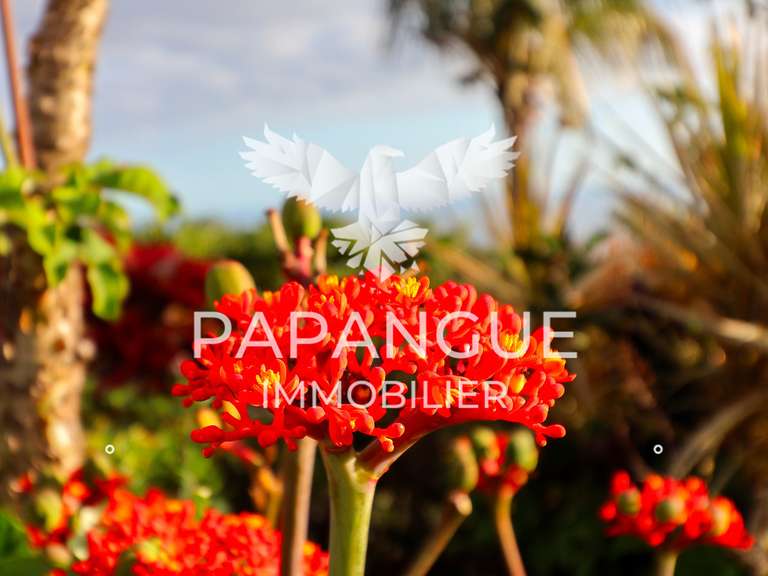 Maison avec Vue sur mer Petite-Île - 8 chambres - 305m²