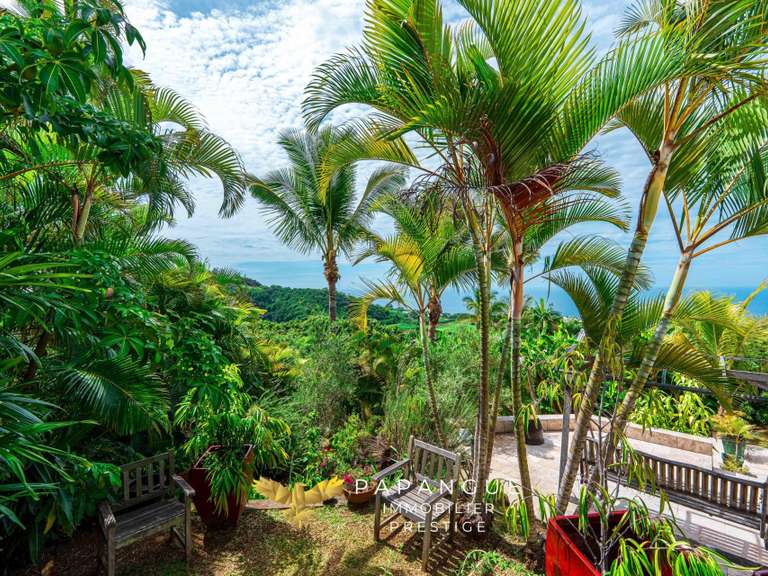 House Petite-Île - 4 bedrooms - 220m²