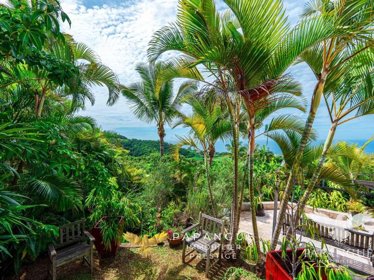 House Petite-Île - 4 bedrooms - 220m²
