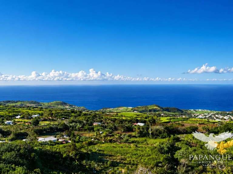 House Petite-Île - 8 bedrooms - 411m²
