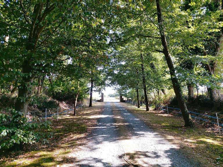 Maison Peumérit - 7 chambres