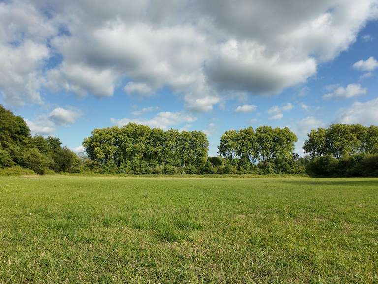 Maison Peyrehorade - 5 chambres - 300m²