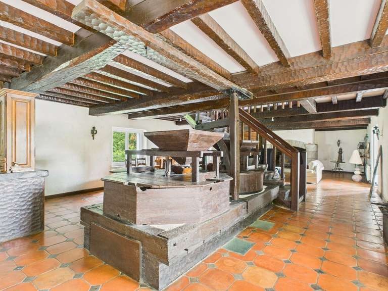 Mill Peyrehorade - 5 bedrooms - 300m²