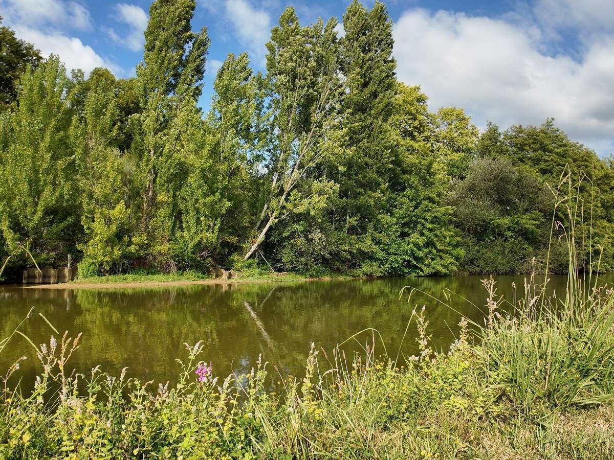 Moulin Peyrehorade