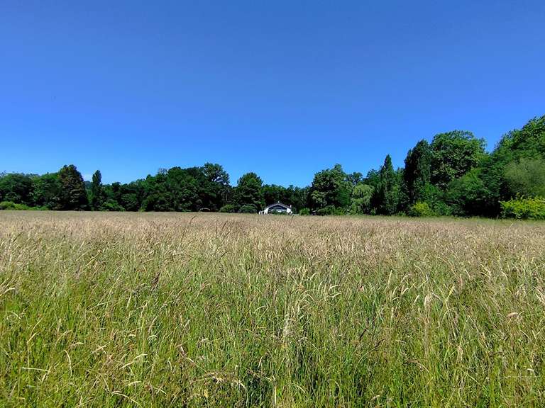 Moulin Peyrehorade - 5 chambres - 300m²