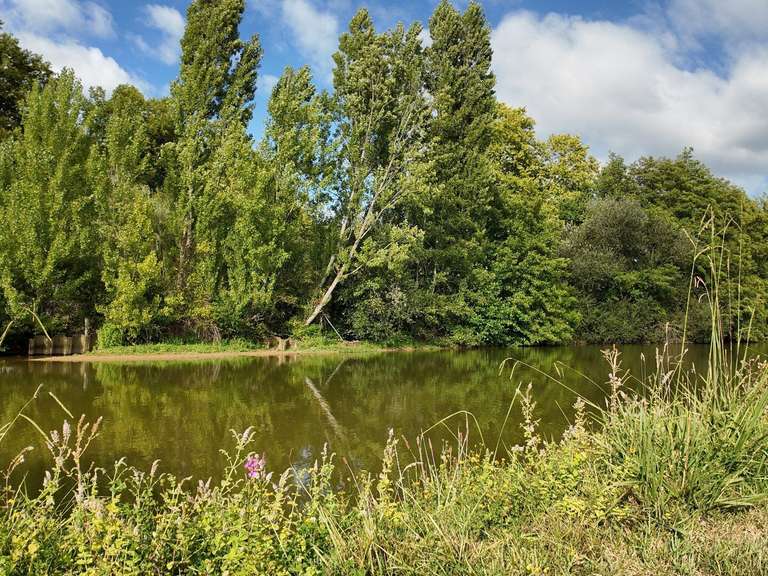 Moulin Peyrehorade - 5 chambres - 300m²