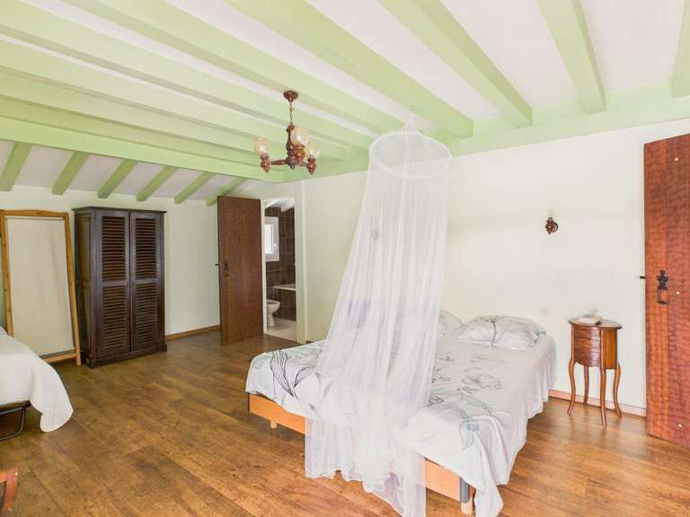 Moulin Peyrehorade - 5 chambres - 300m²