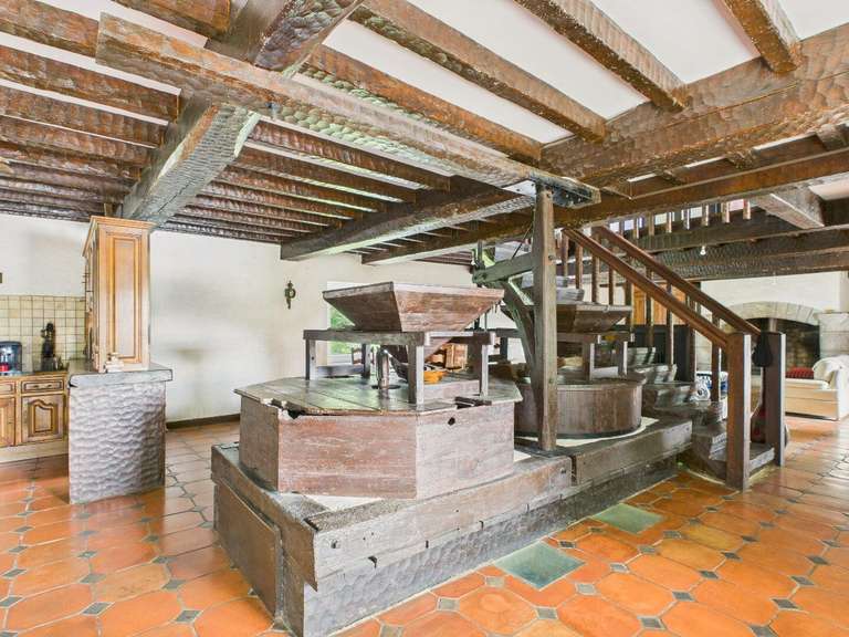 Moulin Peyrehorade - 5 chambres - 300m²