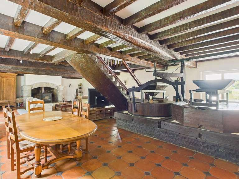 Moulin Peyrehorade - 5 chambres - 300m²