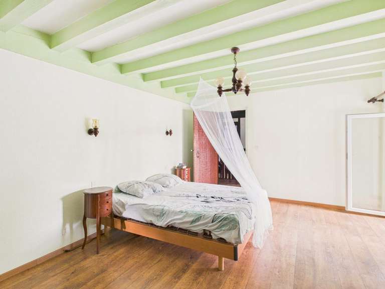 Moulin Peyrehorade - 5 chambres - 300m²