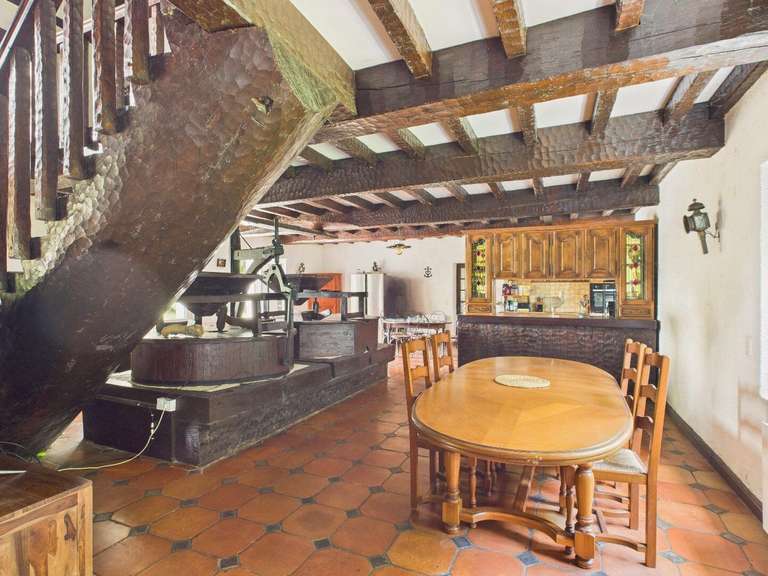 Moulin Peyrehorade - 5 chambres - 300m²