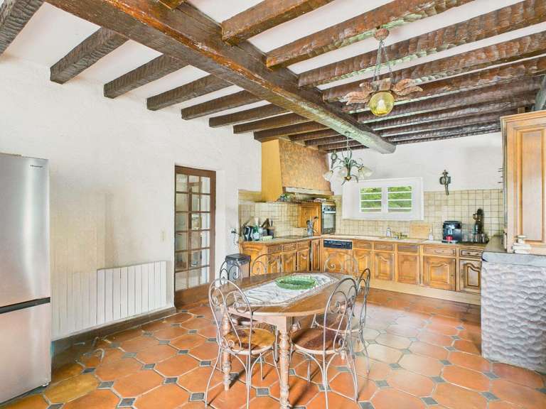 Moulin Peyrehorade - 5 chambres - 300m²