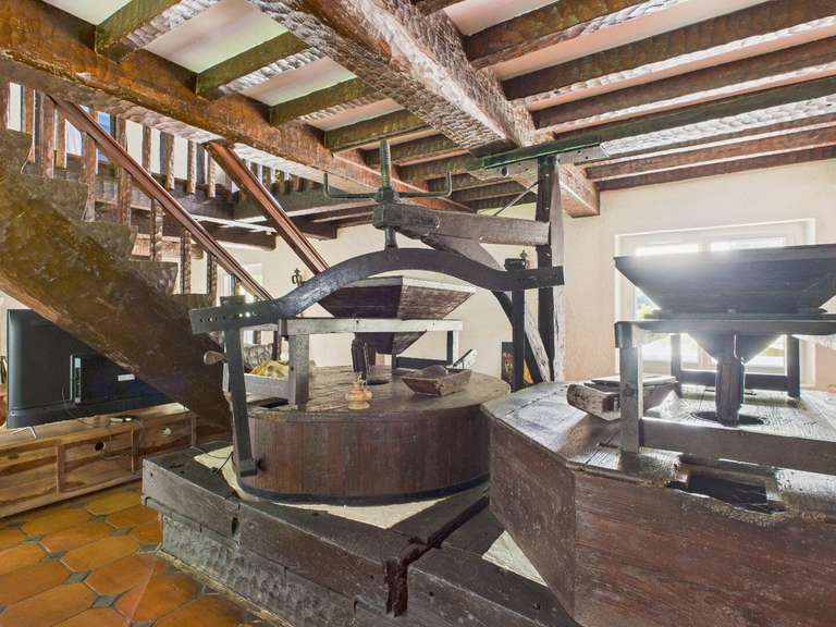 Moulin Peyrehorade - 5 chambres - 300m²