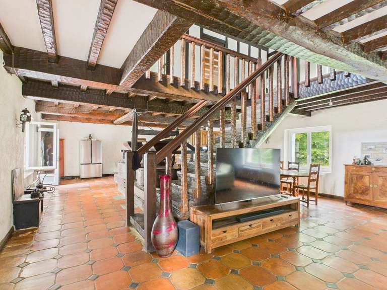 Moulin Peyrehorade - 5 chambres - 300m²
