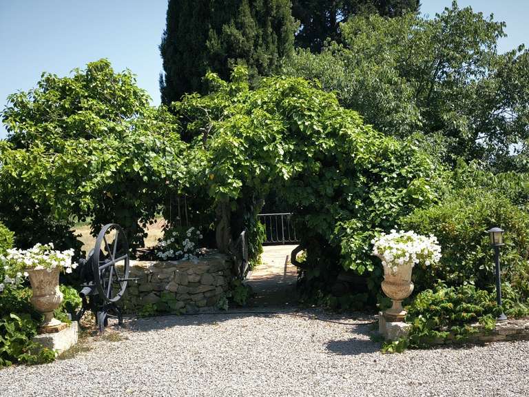 Maison Pézenas - 11 chambres - 498m²
