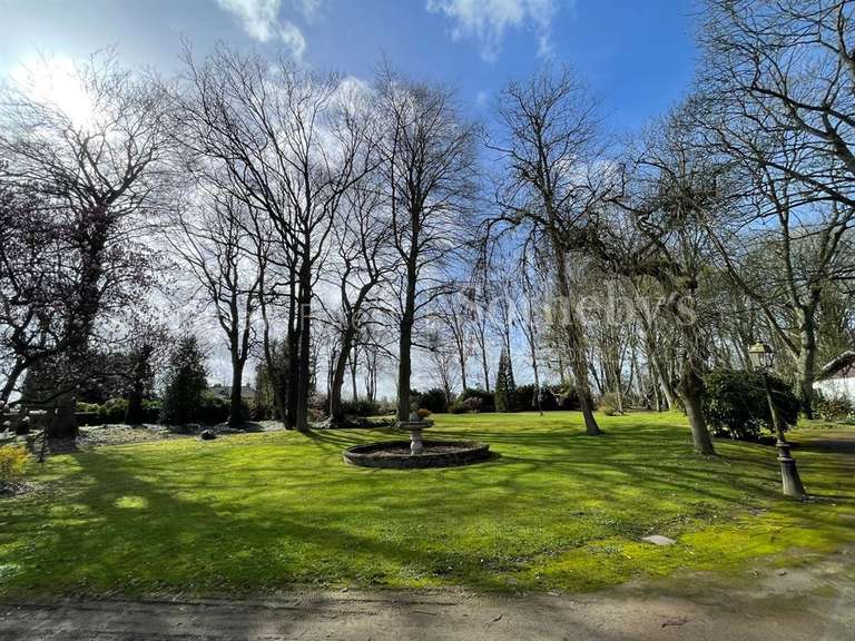 Maison Phalempin - 8 chambres - 600m²