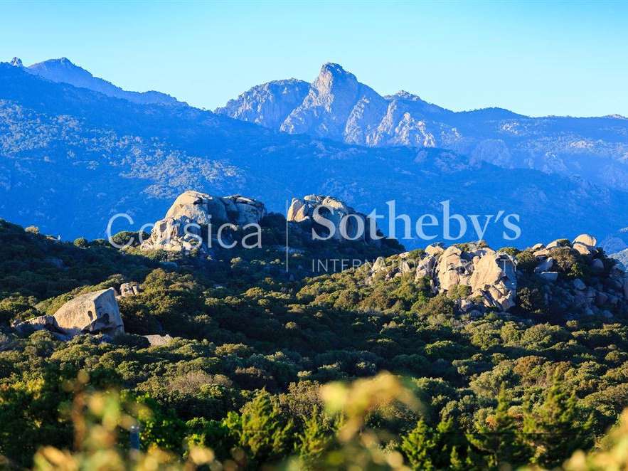 House Pianottoli-Caldarello