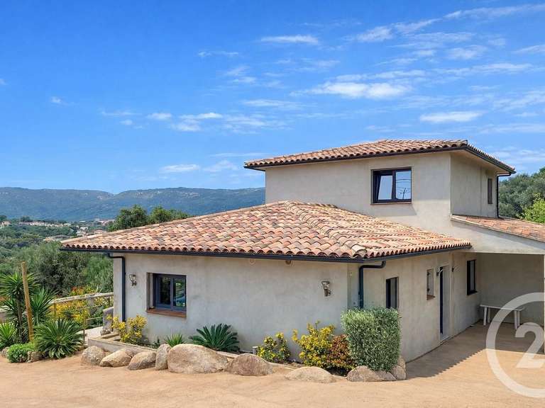 Maison Pianottoli-Caldarello - 4 chambres - 255m²