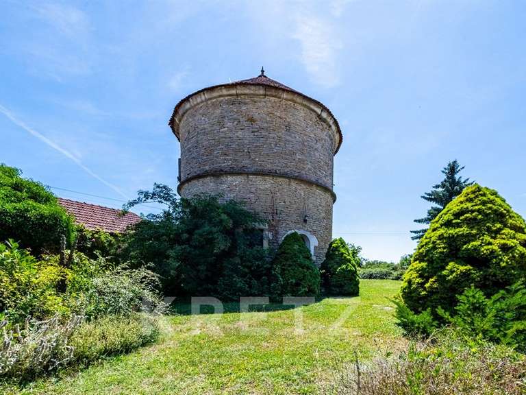 Propriété Pichanges - 16 chambres - 650m²