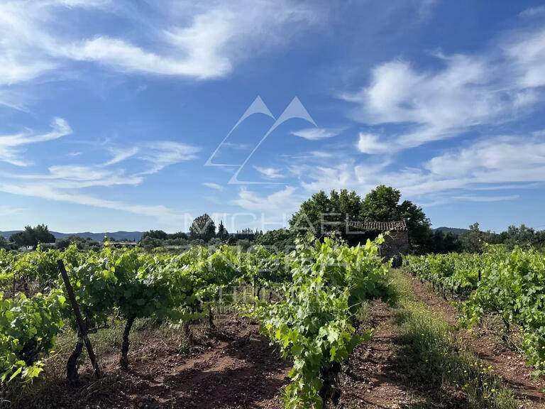 Vente Domaine viticole Pierrefeu-du-Var