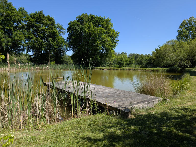 Maison Pierrefitte-sur-Sauldre - 3 chambres - 240m²