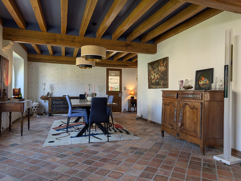Maison Pierrefitte-sur-Sauldre - 3 chambres - 240m²