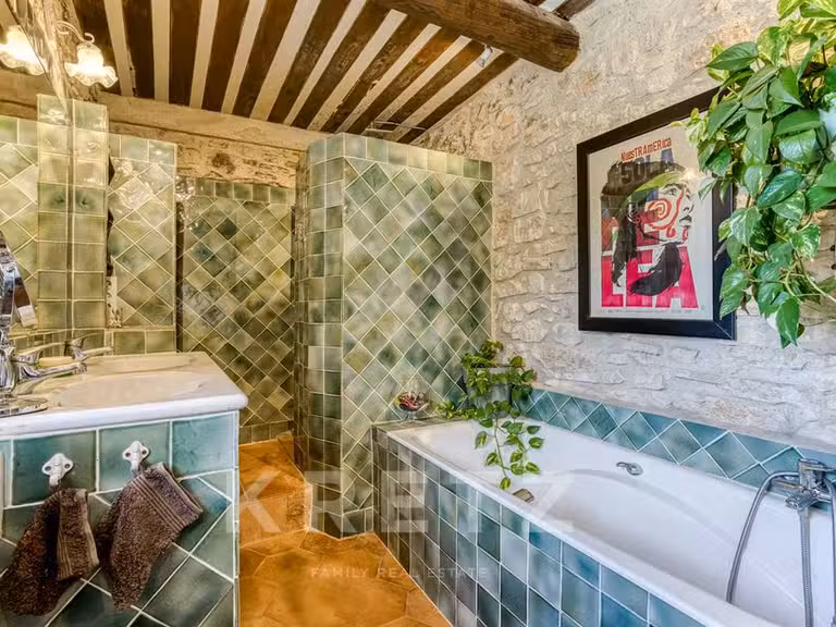 Maison Pierrevert - 5 chambres - 318m²