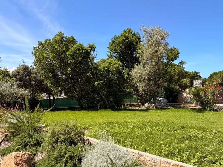 Villa Pietrosella - 6 chambres - 2530m²