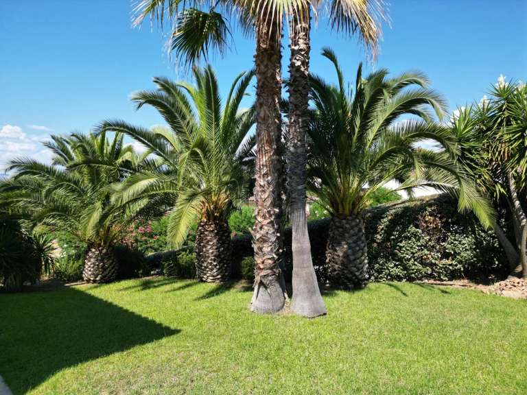 Villa Pietrosella - 4 chambres - 220m²