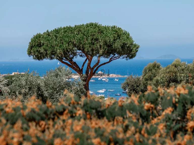 Villa Pietrosella - 5 chambres - 310m²